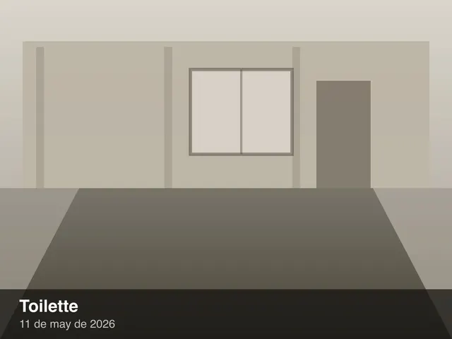 Sanitarios provisorios para uso de obra.